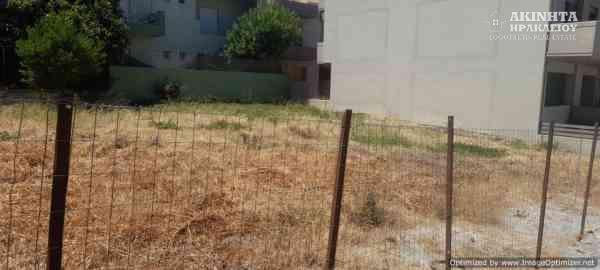 εικόνα_Viber_2025-07-03_12-55-05-367.jpg